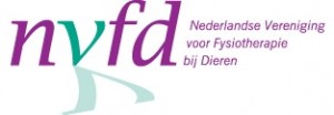 logo NVFD